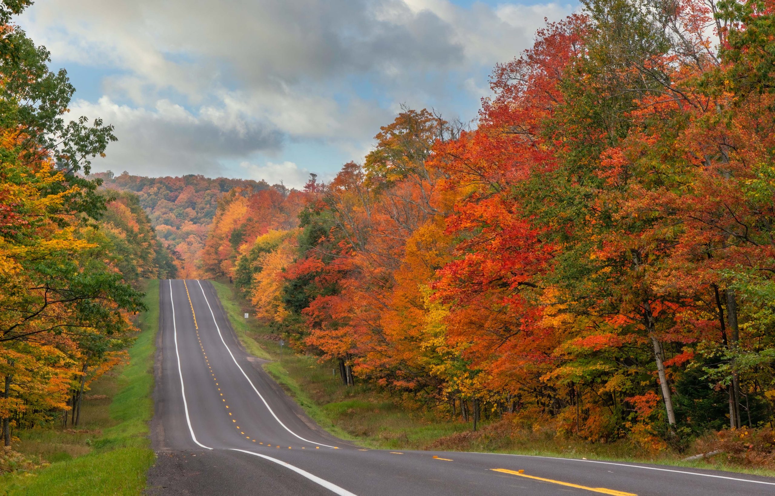 Fall Foliage